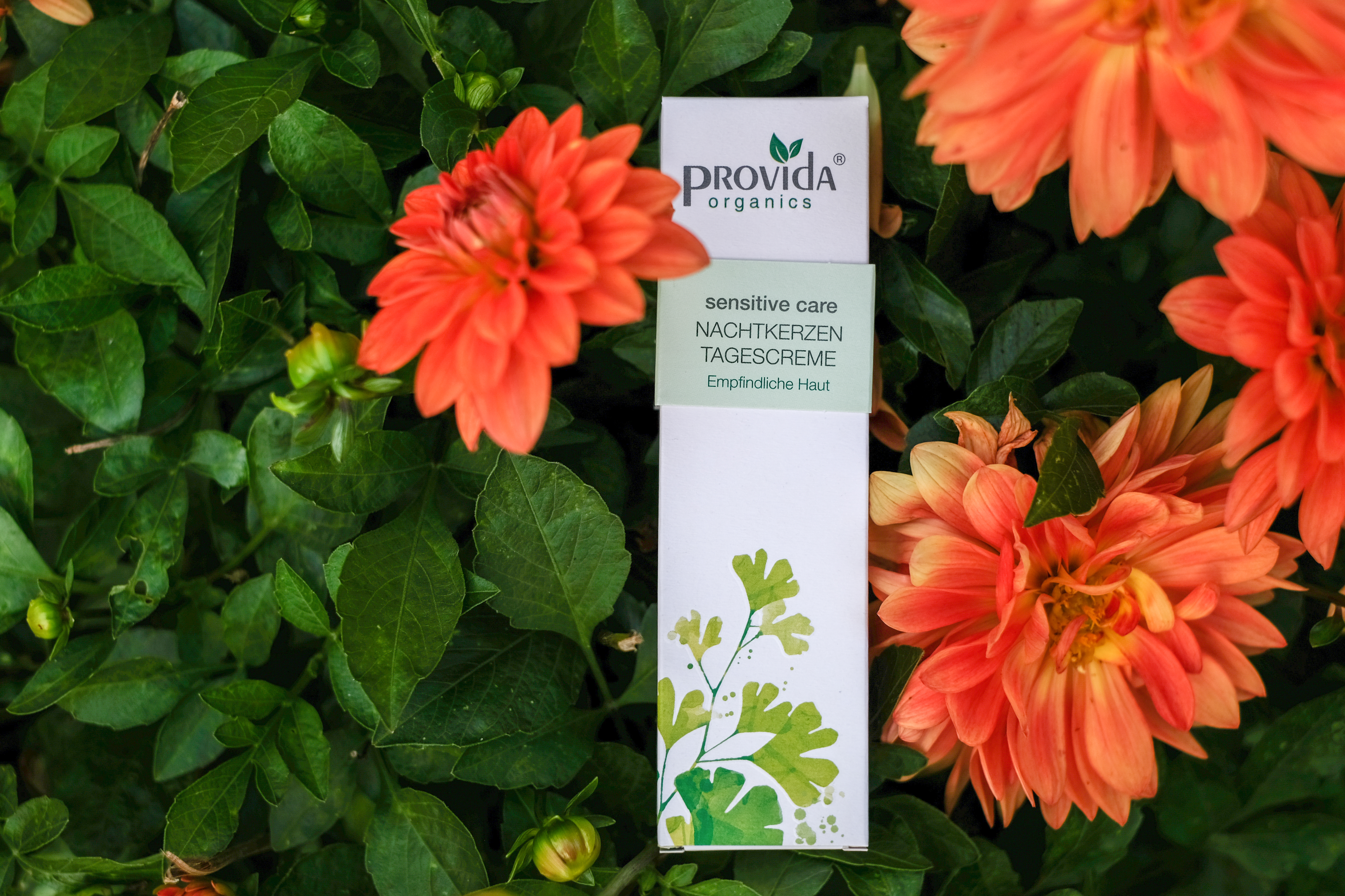 Verpackung der Nachtkerzen-Creme in der Provida-Kartonverpackung Kartonverpackung der Nachtkerzen-Creme von Provida