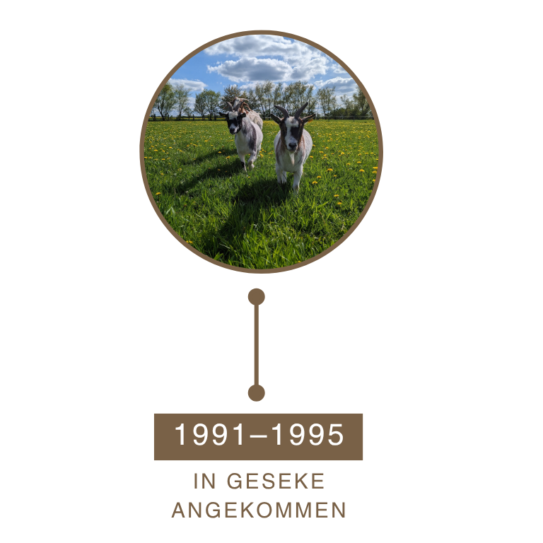provida_geschichte_1991