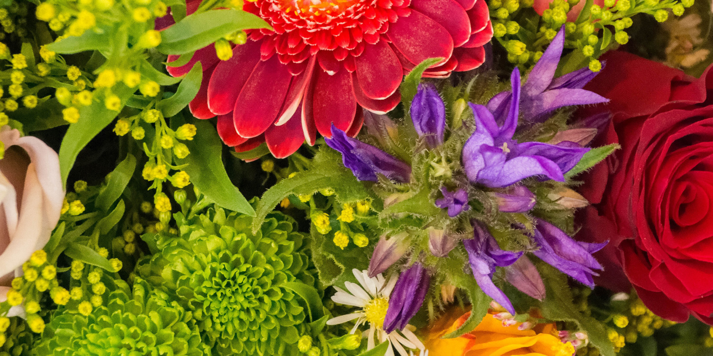 Blumen ""